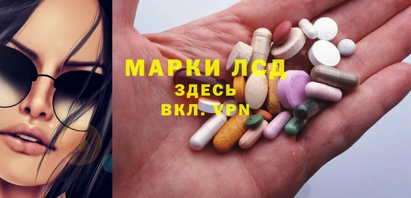ПСИЛОЦИБИНОВЫЕ ГРИБЫ Алзамай