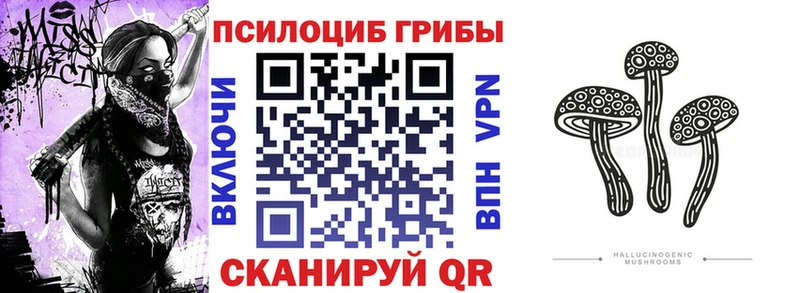 где можно купить Перевоз МЕГА рабочий сайт Галлюциногенные грибы мухоморы